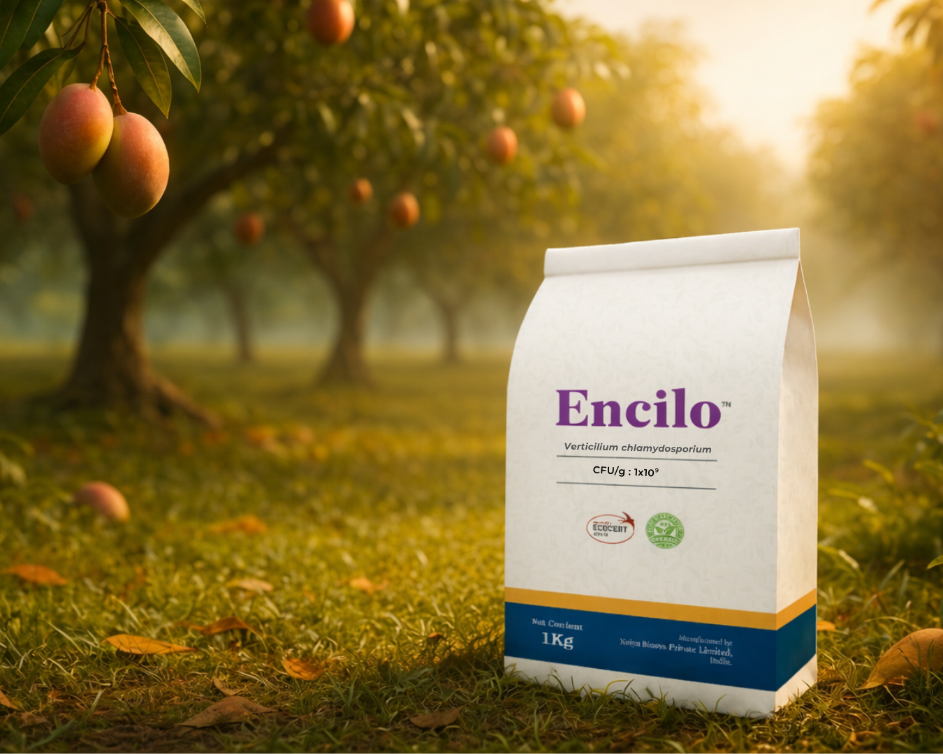 EnCilo Purpureocillium lilacinum for root-zone nematode suppression